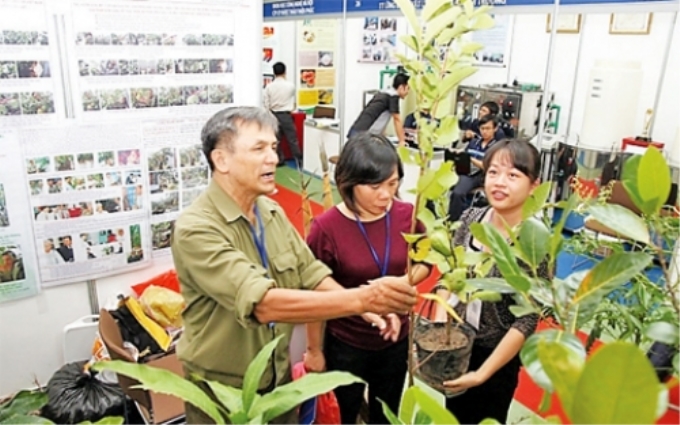 Một gian hàng giới thiệu, chào bán các loại giống cây trồng tại Hội chợ khoa học công nghệ Ðác Nông 2013.